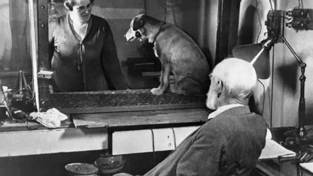 ivan pavlov with his assistant experimenting on the dog while he sits at his chair